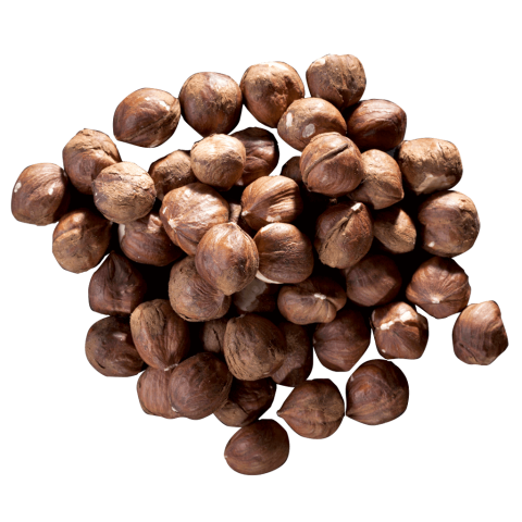 Noisettes décortiquées France BIO
