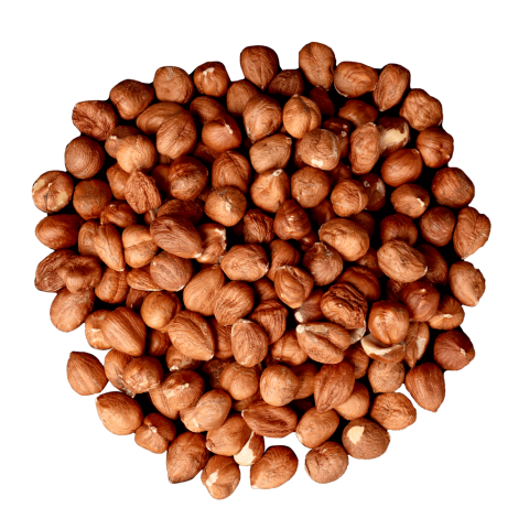 Noisettes décortiquées de France