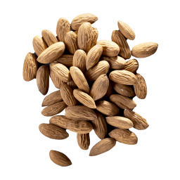 Amandes décortiquées Valencia