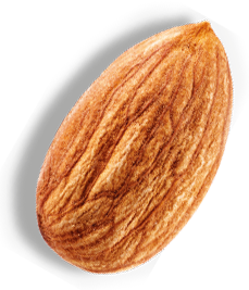 Amandes Bedouin